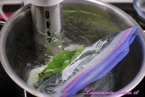 Tagliare la seppia pulita a strisce di circa 1 cm. di larghezza, cuocerle nel bagno del roner a 65°C per 30 minuti dopo averla marinata con olio, alloro, melissa e rosmarino
